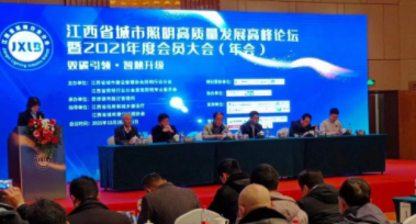 开云手机版登录入口(上海)科技有限公司受邀参加江西省城市照明高质量发展高峰论坛